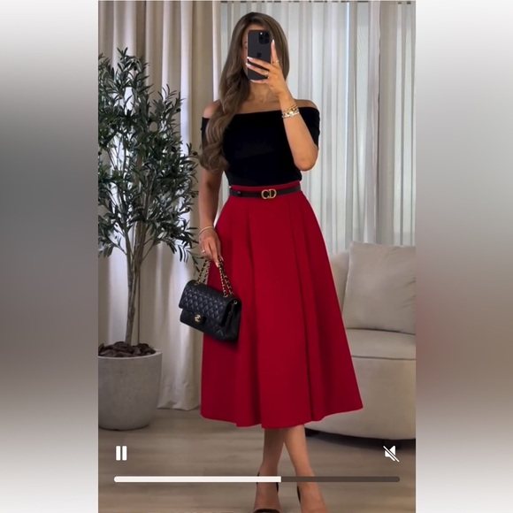 ZARA PLEATED CAPE SKIRT - Picture 3 of 5